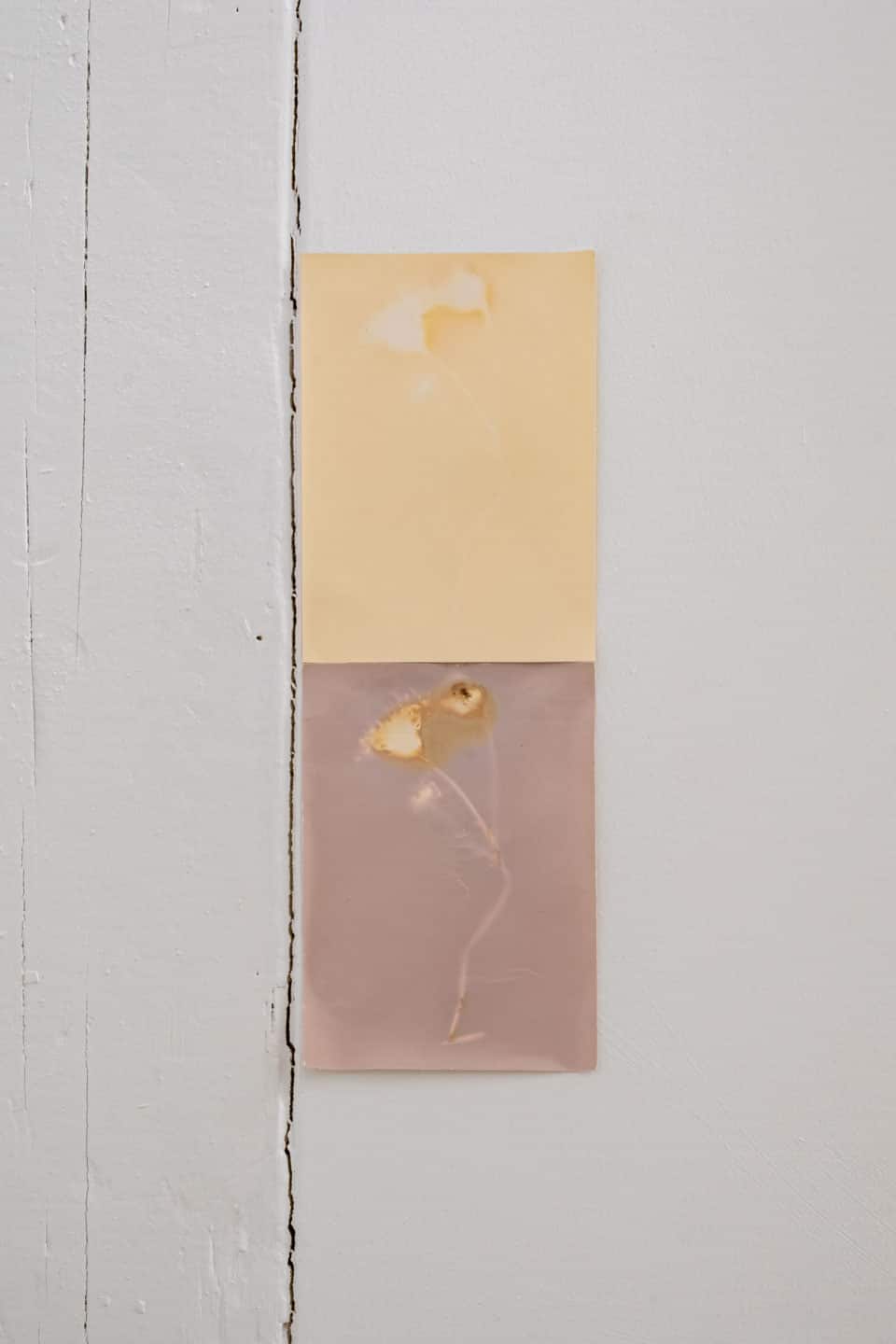Solarity at NAMARA projects